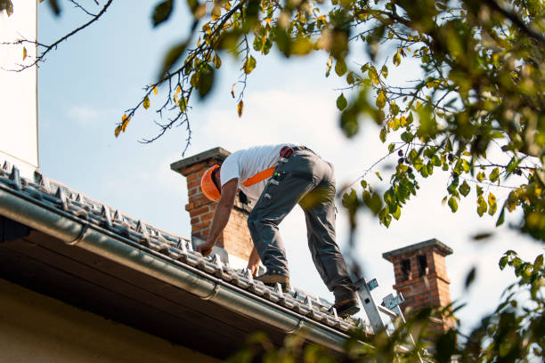 Best Tile Roofing Contractor  in Dryden, MI