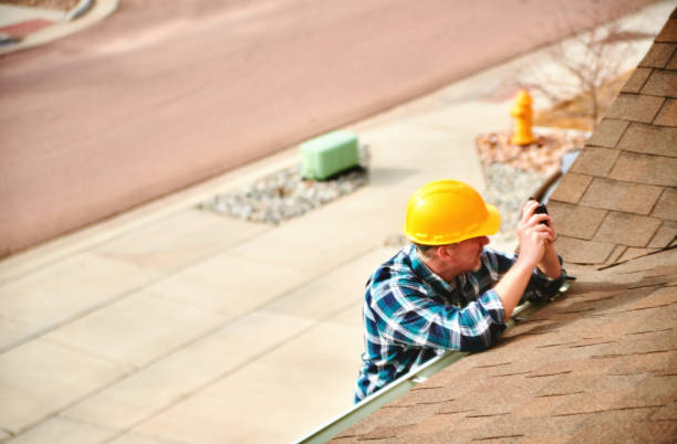 Best Sealant for Roof  in Dryden, MI