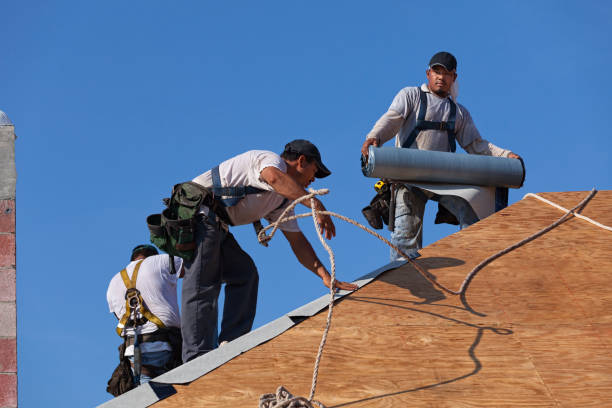 Best New Roof Installation  in Dryden, MI