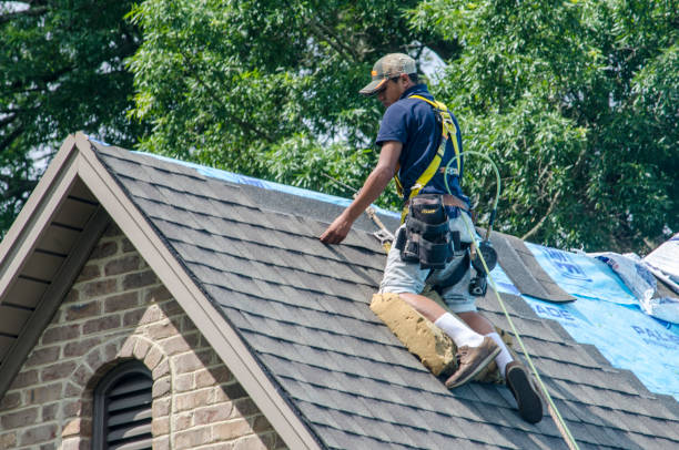 Best Flat Roof Repair Services  in Dryden, MI